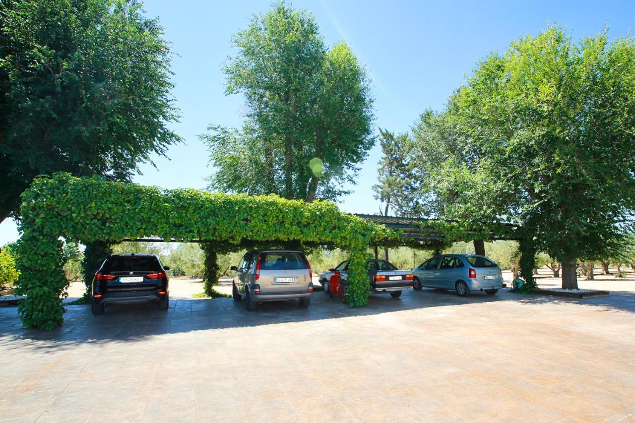 Villa Senia Tomaset III Onil Exterior foto
